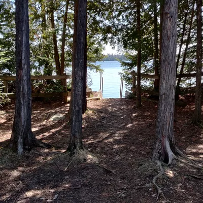 Forested view of Silver Island Lake